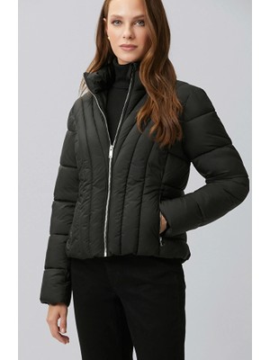 Network Brown Stand Collar Jacket