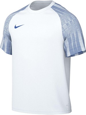 Die Grup Nike M Nk Df Academy Jsy Ss Jarse Erkek