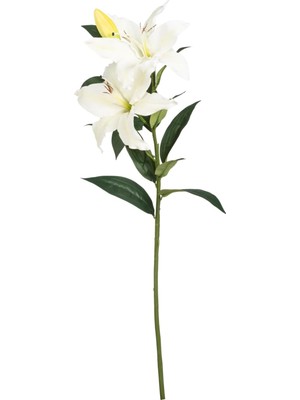 Die Grup Zambak Çiçeği Beyaz 85 cm