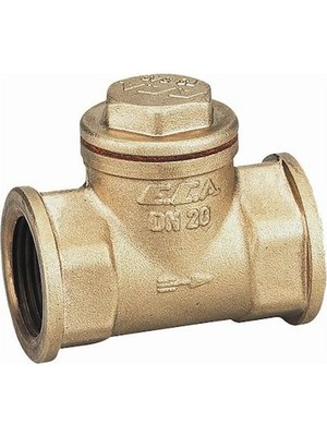 Eca 3/4 Check Valve Sandy Surface
