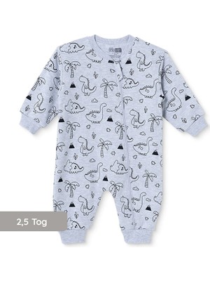 Hellobaby Baby Boy Sleep Sack Dinosaur Print Zippered Crew Neck Long Sleeve Ribbed