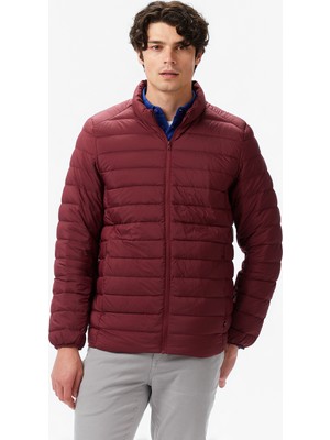Nautica Regular Fit Men's Burgundy Jacket