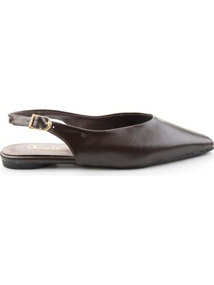Bambi Brown Women's Ballet Flats K01823019009