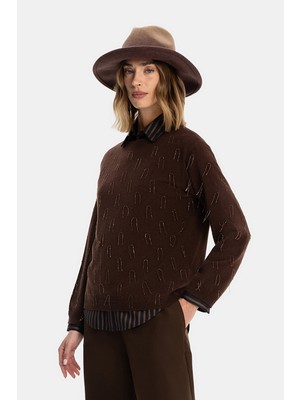 Fabiana Filippi Fabıana Fılıppı Brown Wool-Silk Knit Sweater