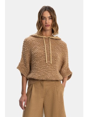 Fabiana Filippi Fabıana Fılıppı Camel Hooded Knit Sweater