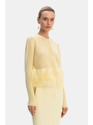 Fabiana Filippi Fabıana Fılıppı Yellow Fuzzy Wool-Silk Knitwear