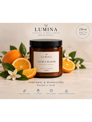 Lumina Portakal Huzuru – 250 cc Çift Fitilli Yoğun Kokulu Soya Wax Mum | Amber Cam