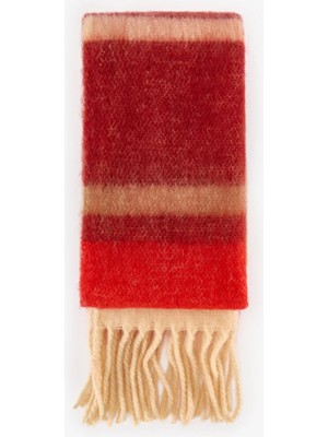 Penti Alba Striped Scarf