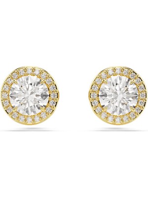 Swarovski SWR5686637 Women's Earrings