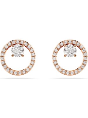 Swarovski SWR5692263 Women's Earrings