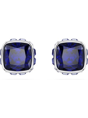Swarovski SWR5660803 Women's Earrings