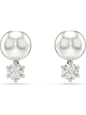Swarovski SWR5694225 Women's Pearl Earrings