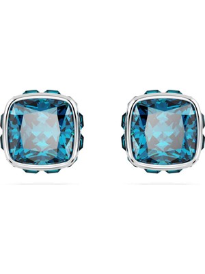 Swarovski SWR5660796 Women's Earrings