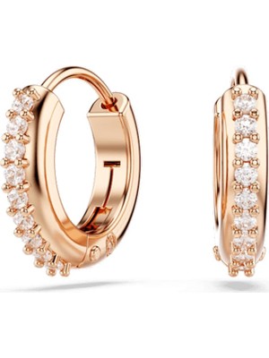 Swarovski SWR5690669 Women's Earrings