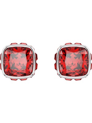Swarovski SWR5661959 Women's Earrings
