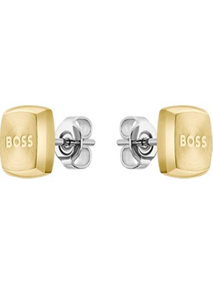 Boss Watches HBJ1580475 Men's Earrings