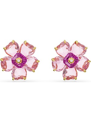 Swarovski SWR5650563 Women's Earrings