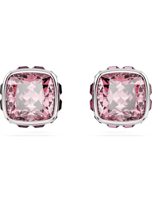 Swarovski SWR5661960 Women's Earrings