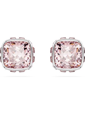 Swarovski SWR5660799 Women's Earrings