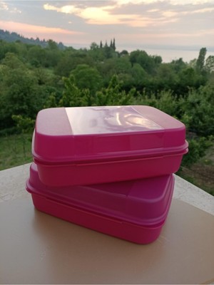 Tupperware F20 Saklama Kabı 2li Pembe