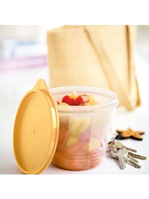 Tupperware Klasik Kaplar 800 ml