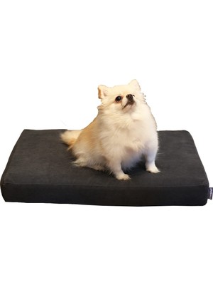 Cecepet Arya Serisi Ortopedik Premium Kedi ve Köpek Yatağı 60X45 cm