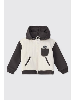 Myg Plus Erkek Bebek Dinozor Baskılı Antrasit Sweatshirt 0-6 Ay (56-62 Cm)