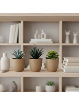 Myg Plus Mini Yapay Sukulent Seti, 8 cm Saksı ile Dekoratif Bitki Tasarımı