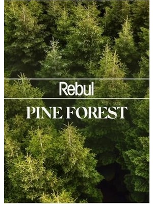Pratik Ev Pine Forest Kolonyalı Mendil, 100 Adet, 5 ml