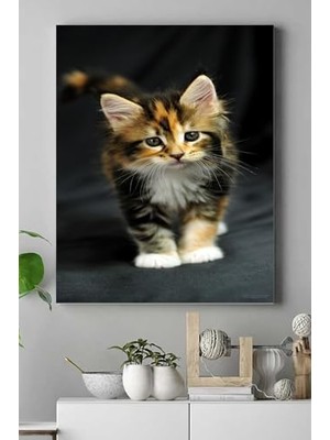 Pratik Ev PSTER16470 Kedi Hayvan Kanvas Tablo 2 40 x 60