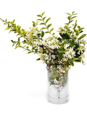 Pratik Ev Diamond Cam Vazo/mumluk (17 Cm)