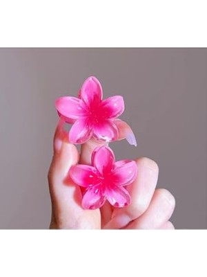 Pratik Ev Küçük Boy Lotus Tokası, 2'li, 3 cm