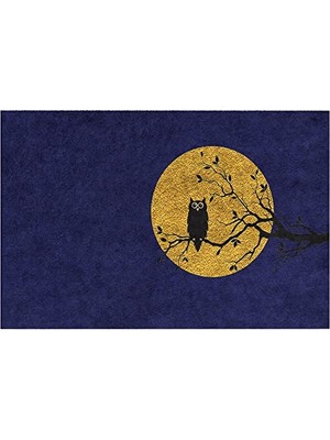 Pratik Ev Baykuş Mavi Tasarımlı Kapı Önü Paspası, Dış Mekan ve Ev Içi Kullanım, 45X70