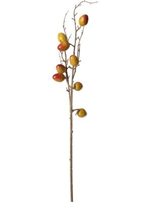 Mudo Home NATURAL MEYVE  DAL ÇİÇEK 75 CM