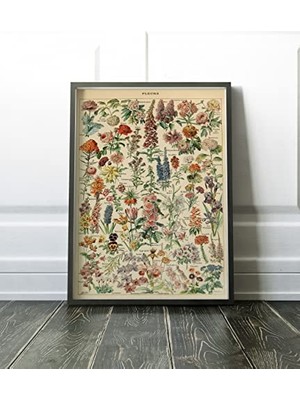 Pratik Ev Çiçek Çeşitleri Sanatsal Poster 50X70 cm HBA009