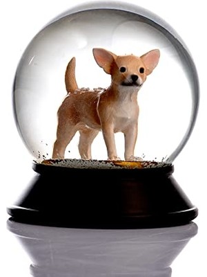 Pratik Ev Cam ve Reçine Kar Küresi, Altın Patiler Köpek Chihuahua (Kayısı)