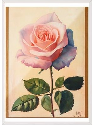 Pratik Ev Zestia Beyaz Çerçeveli Tablo; Pembe Gül, Realistik Çiçek Illüstrasyonu Poster No: 107432 21 x 30