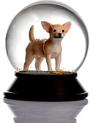 Cam ve Reçine Altın Patiler Köpek Chihuahua (Kayısı) Kar Küresi Hediye