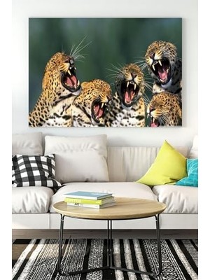 Pratik Ev (PSTER16831) Gülen Leoparlar Eğlenceli Mizahi Kanvas Tablo 30 x 40
