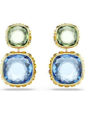 Swarovski SWR5692492 Women's Earrings