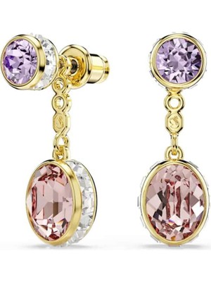 Swarovski SWR5738478 Women's Earrings