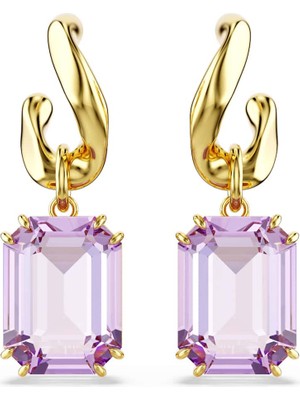 Swarovski SWR5694784 Women's Earrings