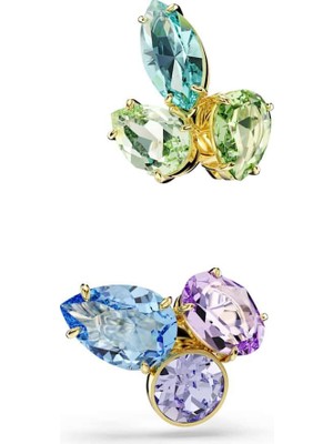 Swarovski SWR5741585 Women's Earrings