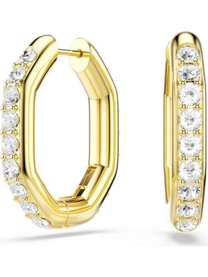 Swarovski SWR5724584 Women's Earrings