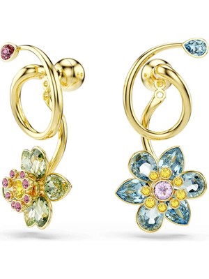 Swarovski SWR5709025 Women's Earrings