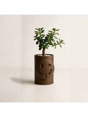Luord-Store 3D Baskı Emoji Planter - Göz Kırpan Yüzlü Sukulent Saksısı-Kahverengi
