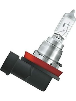 Prime Ampul H16 12V 19W ‎64219L+
