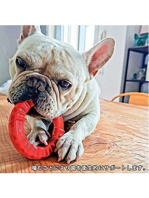 Prime Köpek Oyuncağı Smile S Kırmızı Köpek Yüzüğü 1 Adet (2 Paketi)