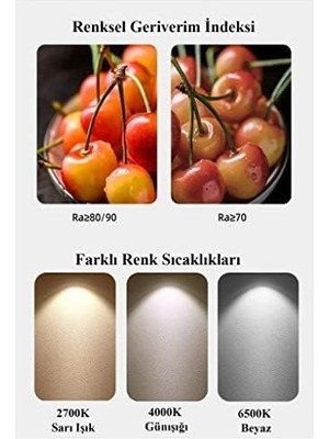 Prime 6W LED Mum Ampul Beyaz Işık 6500K 3 Adet - E14