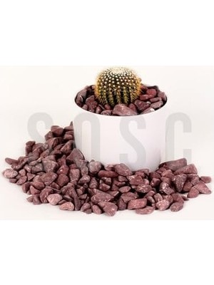 Prime Bordo Çakıl Taşı Dolomit Taşı Bahçe Süsü Akvaryum Taşı Dere Çakıl Taşı 2-3 cm 3 kg